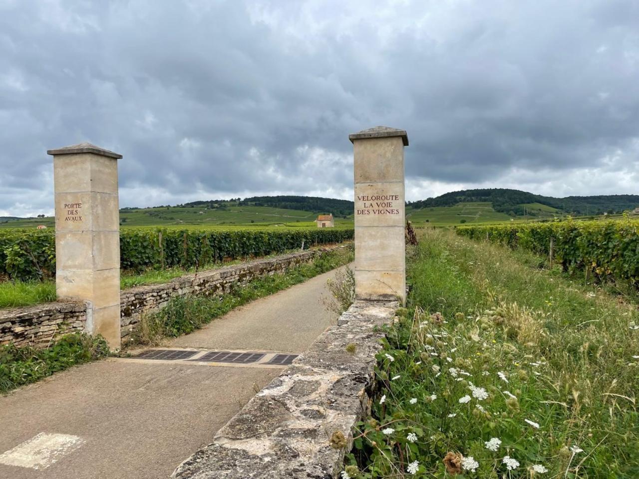 Le Jardin Des Verottes Beaune  Ngoại thất bức ảnh