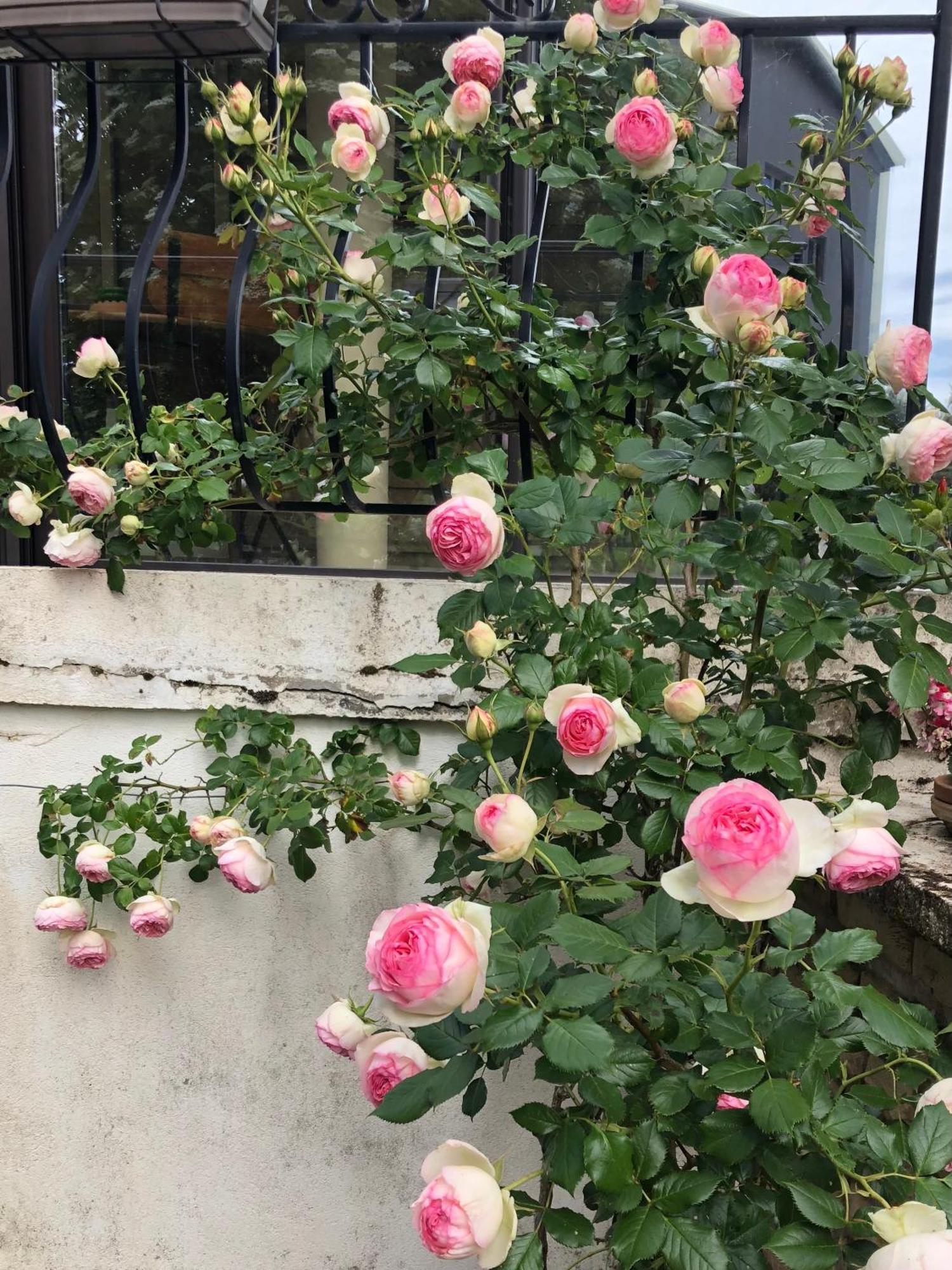 Le Jardin Des Verottes Beaune  Ngoại thất bức ảnh